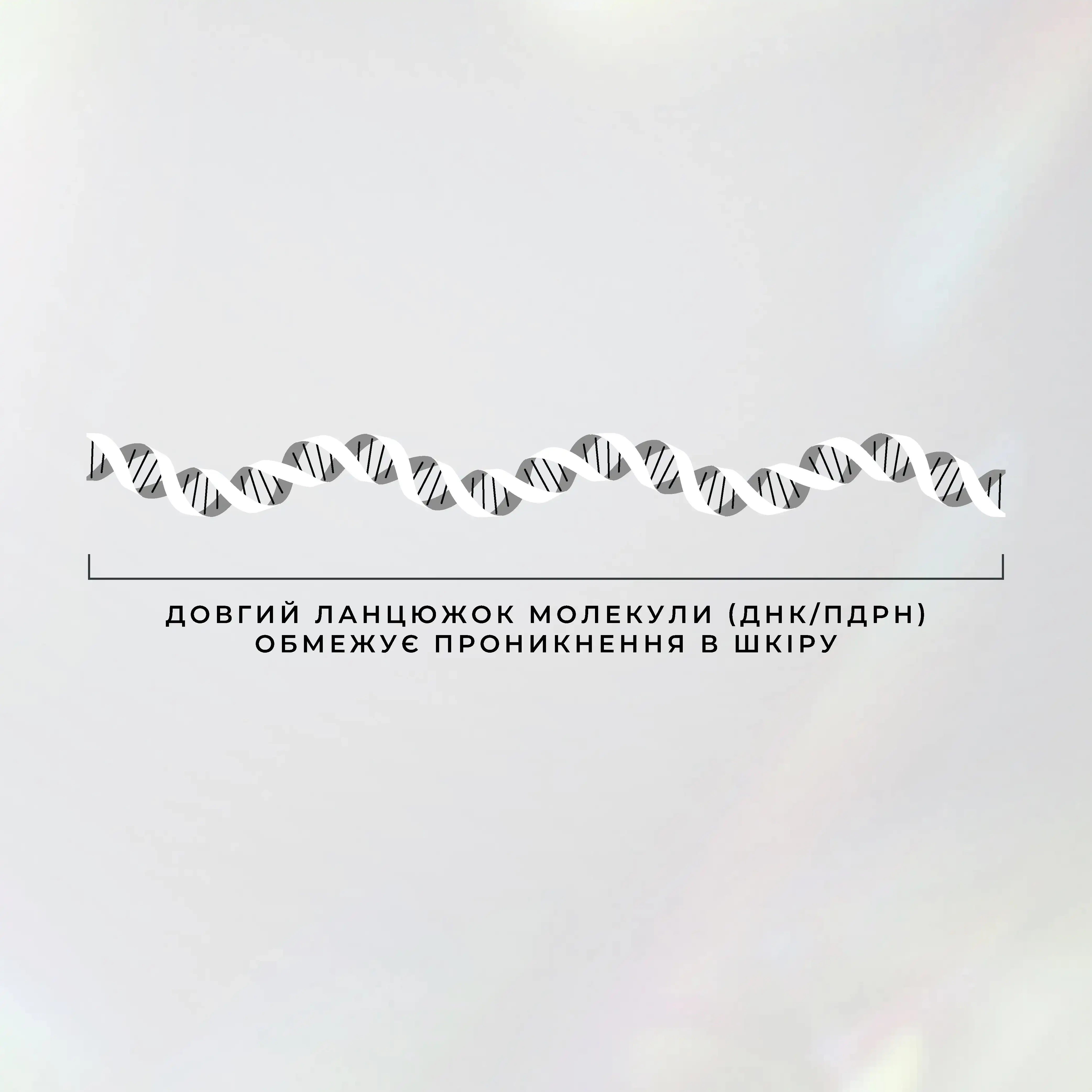Prismatic PDRN: що це таке, як працює і чому важливий для відновлення шкіри 8